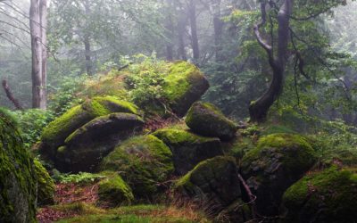 Kraj nebude zvyšovat ceny hromadné dopravy v tarifu IDOL 8 Lidé vybrali nejkrásnější snímek Jizerek