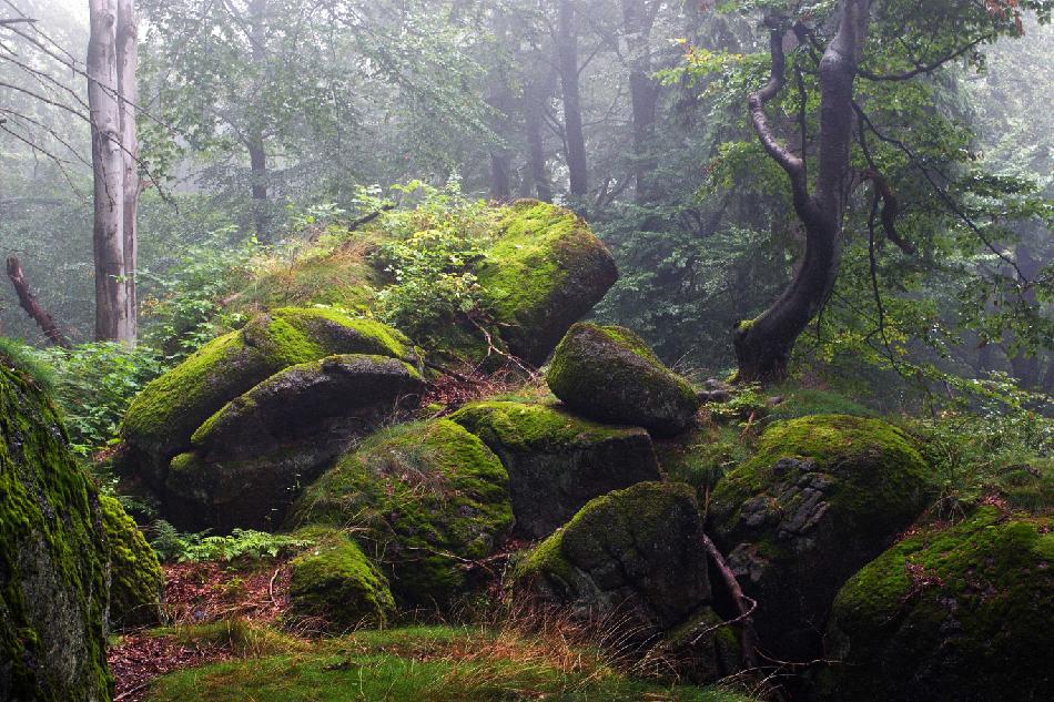 Lidé vybrali nejkrásnější snímek Jizerek