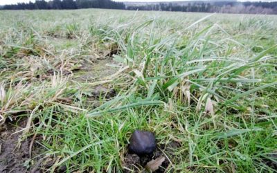 Kraj nebude zvyšovat ceny hromadné dopravy v tarifu IDOL 7 Škola sleduje pohyb meteorů