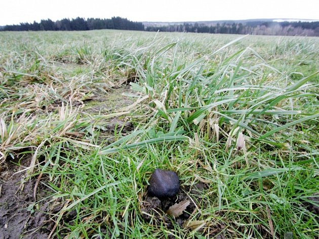 Škola sleduje pohyb meteorů