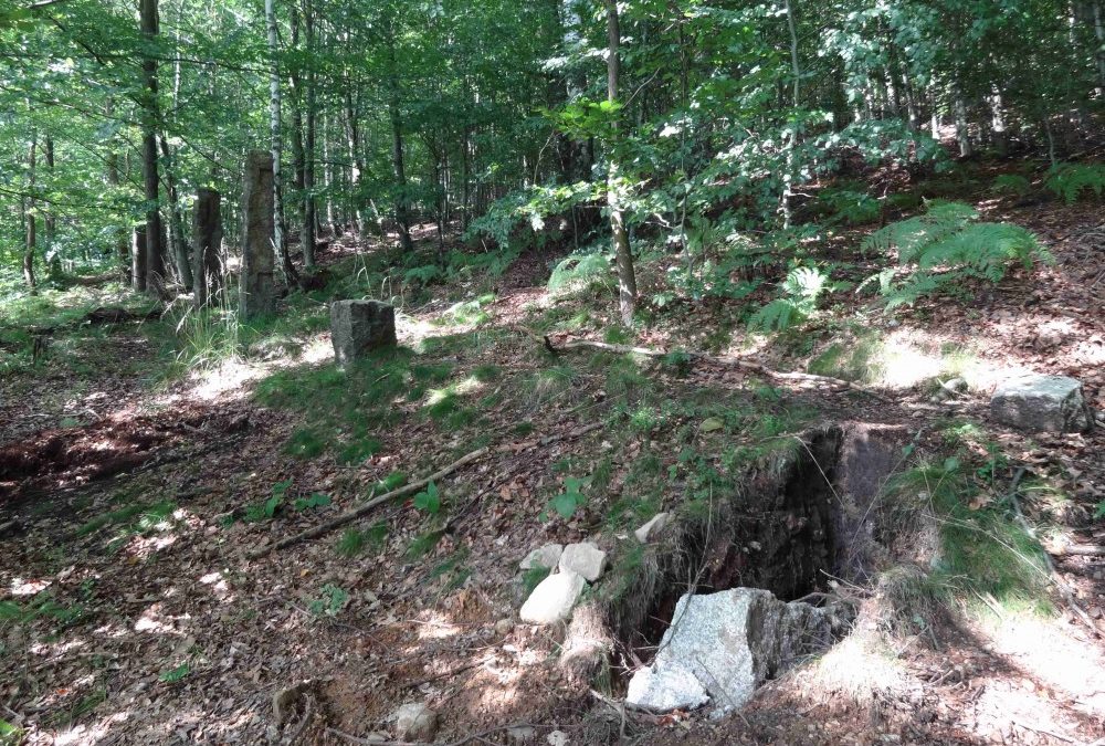 Zloději z unikátní Clam – Gallasovské obory ukradli čtyři kamenné sloupky. Další poničili