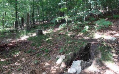 Kraj nebude zvyšovat ceny hromadné dopravy v tarifu IDOL 10 Zloději z unikátní Clam – Gallasovské obory ukradli čtyři kamenné sloupky. Další poničili