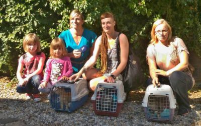 Kraj nebude zvyšovat ceny hromadné dopravy v tarifu IDOL 6 Zachránci opuštěných zvířat v nesnázi. Spolek Šance zvířatům nutně potřebuje nové auto