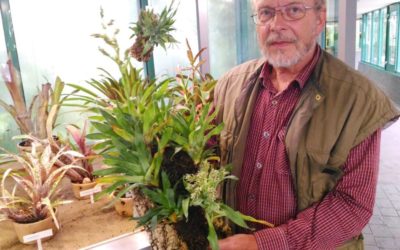 Masožravka příbuzná ananasu je k vidění v botanické jen dva týdny