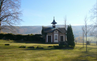 Druhá fotografická soutěž na téma Život v neživém má své vítěze