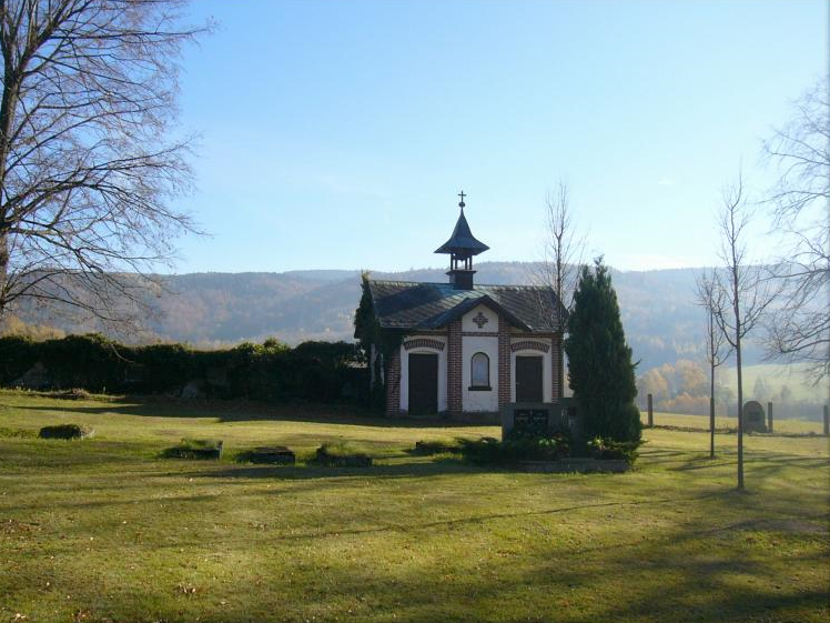 Druhá fotografická soutěž na téma Život v neživém má své vítěze