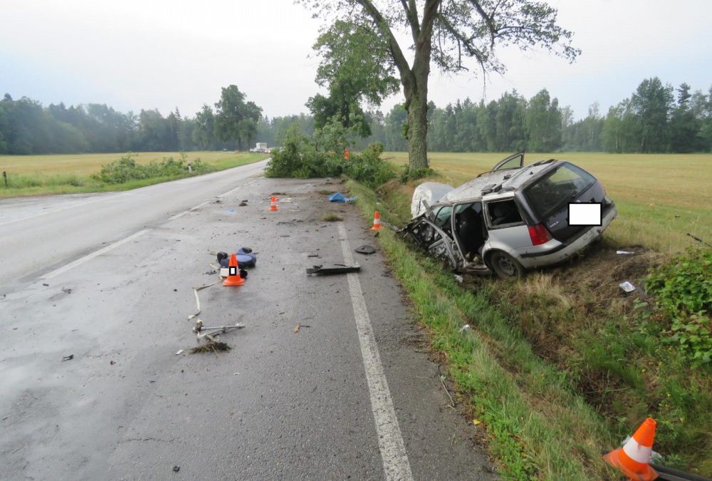 Stromy a vegetace nejednou bývají nepřímou příčinou závažných nehod