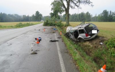 Stromy a vegetace nejednou bývají nepřímou příčinou závažných nehod