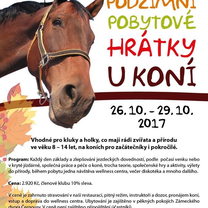 Podzimní pobytové hrátky u koní