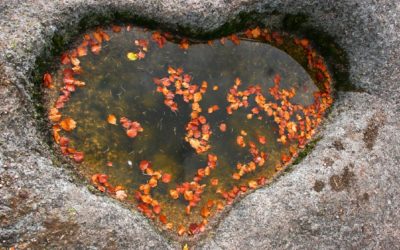 Grantový program Pro zdravou krajinu