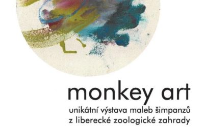 Jak malují šimpanzi? Dozvíte se ve středu na unikátní výstavě ve Frýdlantu