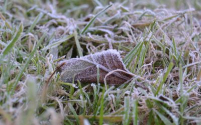 Kraj nebude zvyšovat ceny hromadné dopravy v tarifu IDOL 6 Druhá půlka listopadu přinese do Česka noční mrazíky