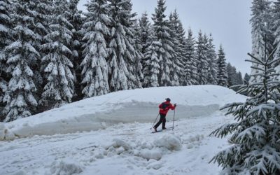 Plus 19 Stopy v Jizerských horách budou upravovat tři nové rolby