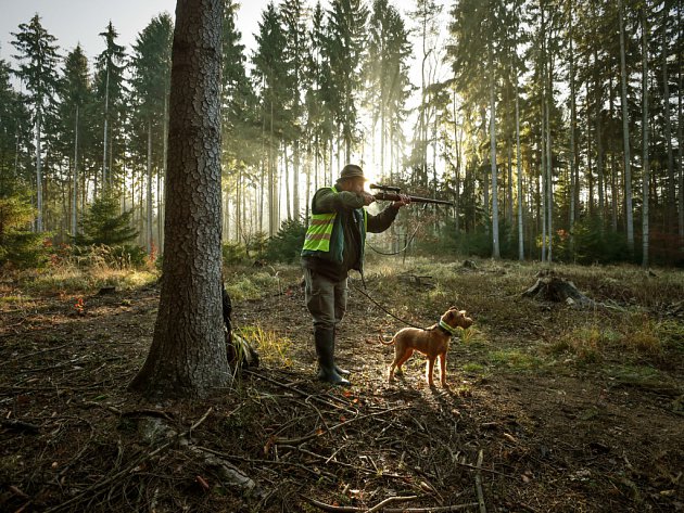 Myslivců ubývá. Přemnožená zvířata nemá kdo střílet