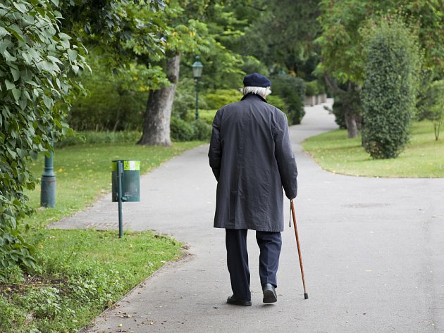Do hledání seniora na Turnovsku se zapojili i psovodi z Hejnic