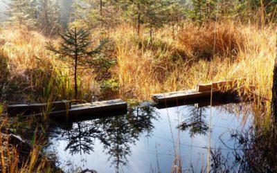 Nadace pomáhá Jizerským horám i okolí již 24 let