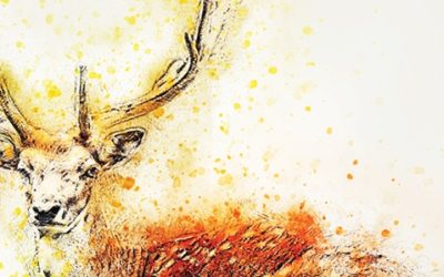 Plus 17 Poslední leč