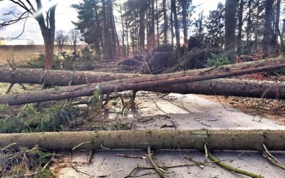 Meteorologové rozšířili výstrahu před silným větrem také pro Liberecko