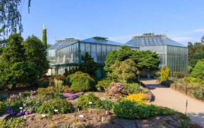 Botanické v Liberci se letos dařilo, na Štědrý den bude zadarmo