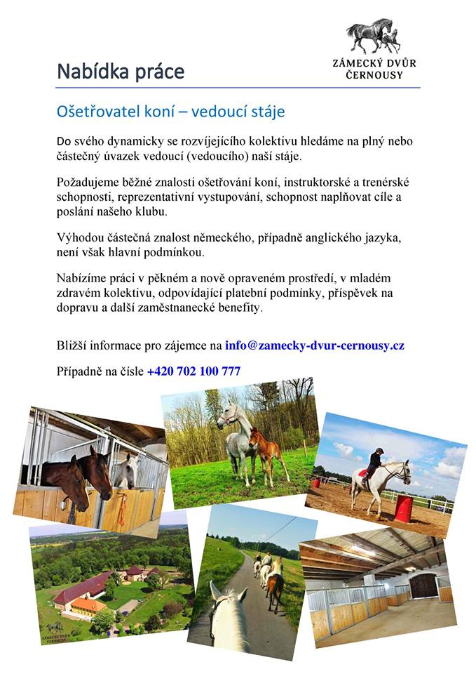 24232452 1209065942526503 2445783384598849148 n