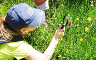 freedlantsko.eu 62 Nadace podpoří ekologickou výchovu dětí