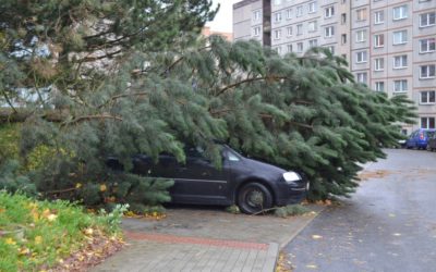 Vítr zastavil lanovku, spadlé stromy komplikovaly dopravu