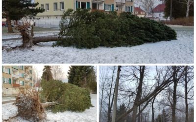 Vítr v Hejnicích vyvracel stromy