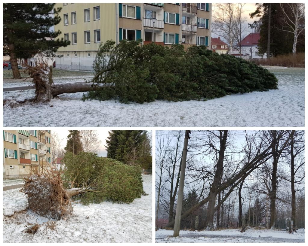 PhotoGrid 1516090764442