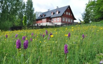 Liberecký kraj podpoří v roce 2018 projekty v oblasti ochrany životního prostředí