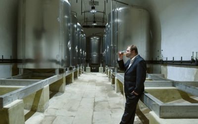 Obnova se podařila, pivovar už vydělává, říká v rozhovoru Marek Vávra