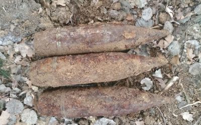 Právě pro Tebe / Kavárna a pekárna 24 Nález munice