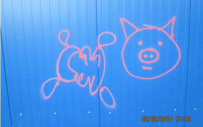 Férová nabídka / DGS 68 Růžové „paskvily“ hyzdí hokejovou halu