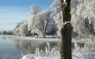Právě pro Tebe / Kavárna a pekárna 25 Další mrazivá noc na Liberecku. Teploty i dnes nejspíš zůstanou pod bodem mrazu