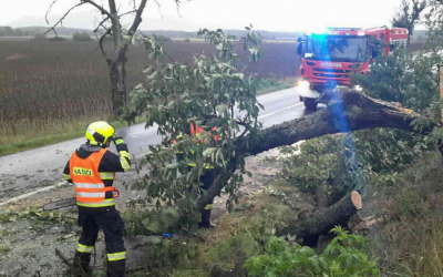 Právě pro Tebe / Kavárna a pekárna 27 Meteorologové varují před silným větrem. V neděli může vát rychlostí až 70 km/h