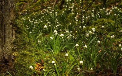 Právě pro Tebe / Kavárna a pekárna 20 Česko zažije neobvykle teplý týden, předpovídají meteorologové