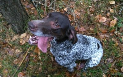 Právě pro Tebe / Kavárna a pekárna 23 Bonnie už je doma