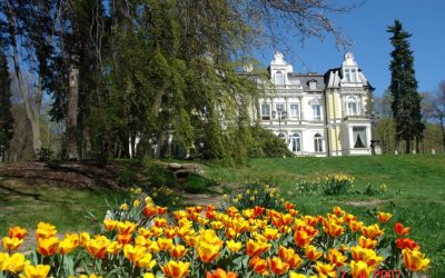 TJ Jiskra Višňová 21 CiS systems s.r.o. hledá uchazeče na pozici Referent/ka prodeje