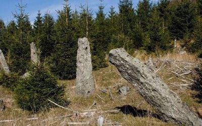 V horách stojí osm tisíc sloupků, hraběcí obora se možná stane památkou