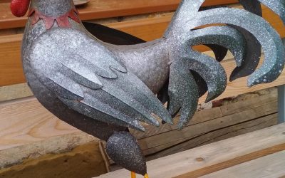 Férová nabídka / DGS 69 Vrátil se domů