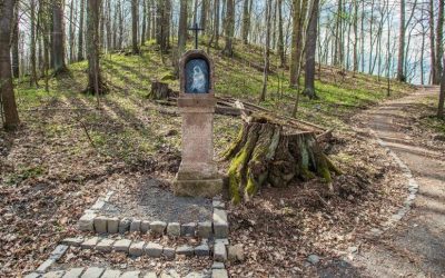 Férová nabídka / DGS 62 Křížovou cestu slavnostně otevře 12. května litoměřický biskup