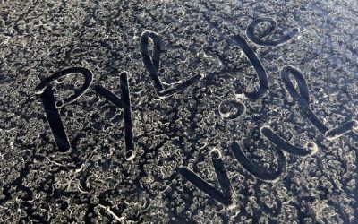 Lesníci se kvůli teplu obávají kůrovce, včelaři čekají hodně medu