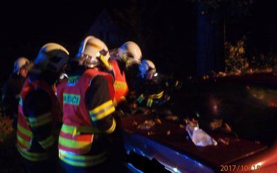 U Frýdlantu narazilo auto do stromu. Mladý řidič svým zraněním v nemocnici podlehl