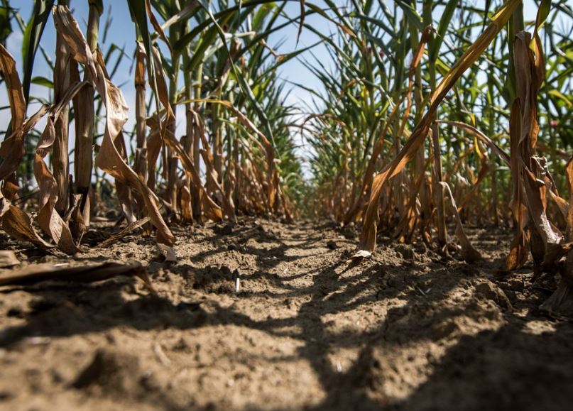 Liberecký kraj se stává dalším suchým místem na hydrologické mapě republiky