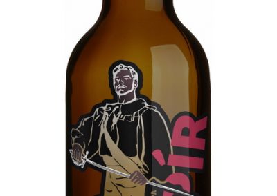 16 rapir visual podklad 2017 008 1