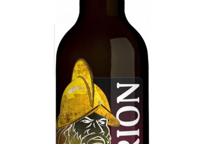 17 morion visual podklad 2017 003 1