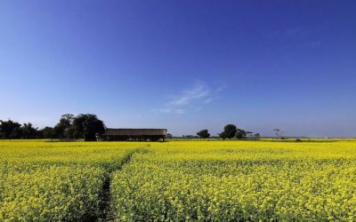 Jizerskohorské muzeum se po povodních konečně otevřelo návštěvníkům 11 Kvůli suchu ubývá vody v potocích a řekách. Zemědělci čekají menší úrodu