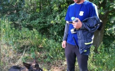 Právě pro Tebe / Kavárna a pekárna 22 Pohřešovanou seniorku vypátral psovod dobrovolných hasičů Hejnice