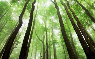 Od čtvrtka budou povinné roušky ve vnitřních prostorách budov v celé ČR 6 ANKETA: Zaostřeno na krásu Jizerských hor. Pomozte vybrat tu nejlepší fotografii