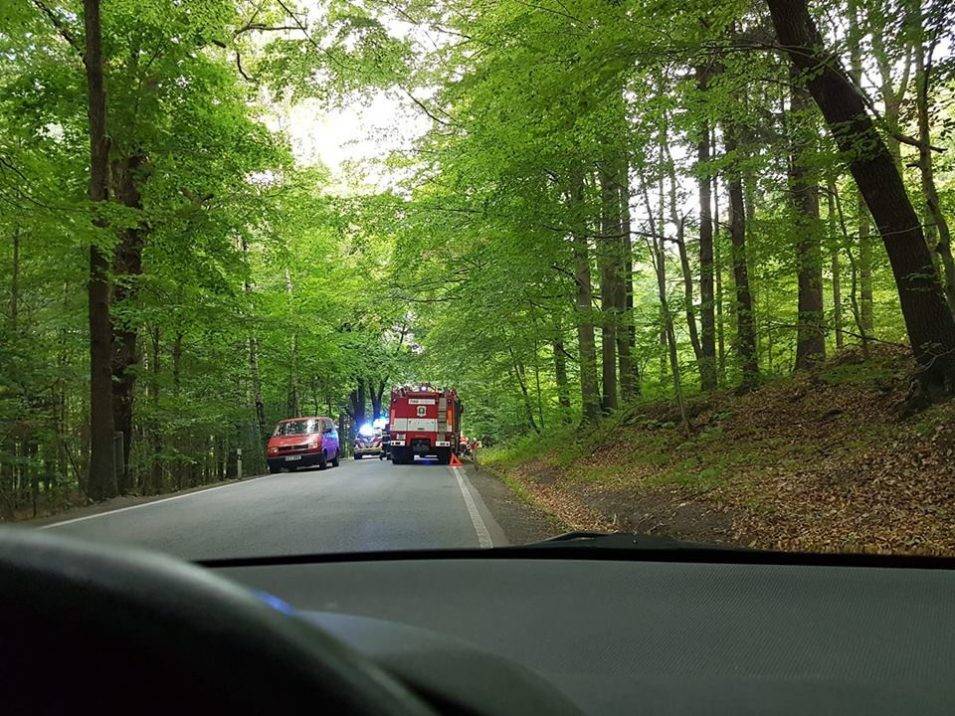 size4 15348441215213 103 39804955 1881823888788268 297468305344561152 n