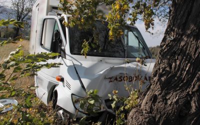 Obchody, nákupní centra, trhy, potraviny, farmářské trhy a stánky 23 Chladící vůz narazil do stromu
